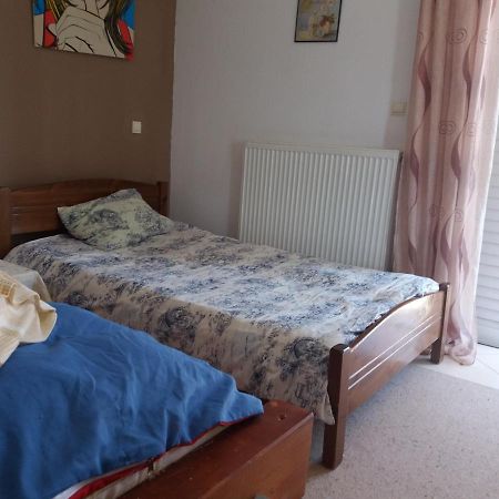 Laida Place Ioannina Extérieur photo